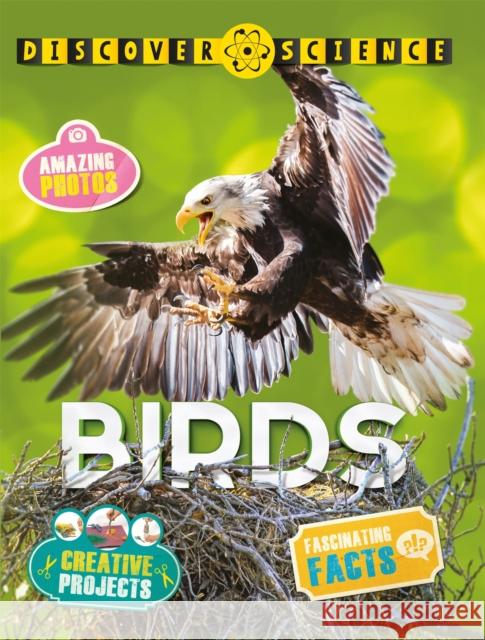 Discover Science: Birds Kingfisher (individual), Nicola Davies 9780753441428 Pan Macmillan