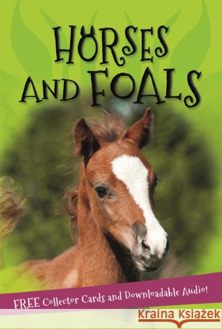 It's all about... Horses and Foals  Kingfisher 9780753442524