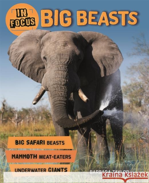 In Focus: Big Beasts  Taylor, Barbara 9780753442555