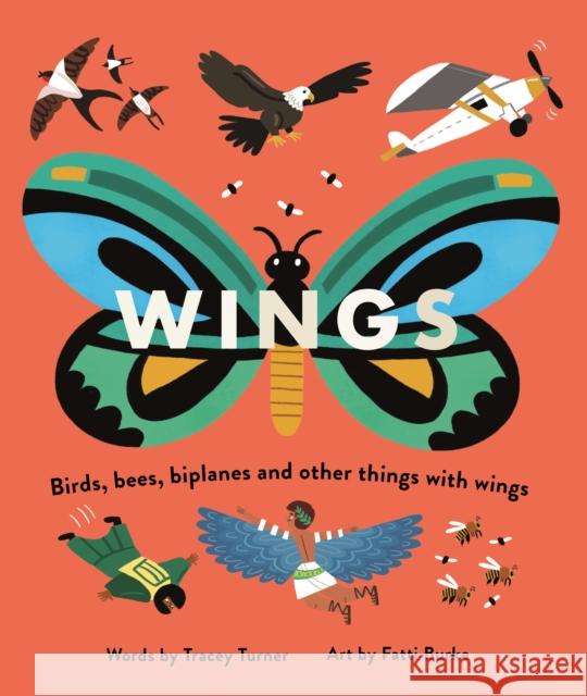 Wings: Birds, Bees, Biplanes and Other Things with Wings Tracey Turner 9780753445198 Pan Macmillan