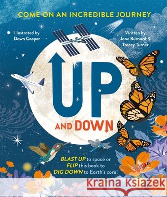 Up and Down Jane Burnard 9780753447864