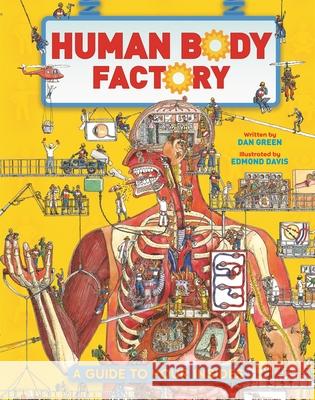 The Human Body Factory: A Guide To Your Insides Dan Green 9780753448359