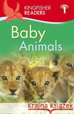 Baby Animals Thea Feldman 9780753467558 0