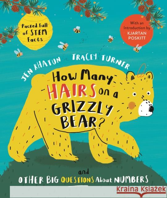 How Many Hairs on a Grizzly Bear?: And Other Big Questions about Numbers Tracey Turner Jen Khatun 9780753477519 Kingfisher