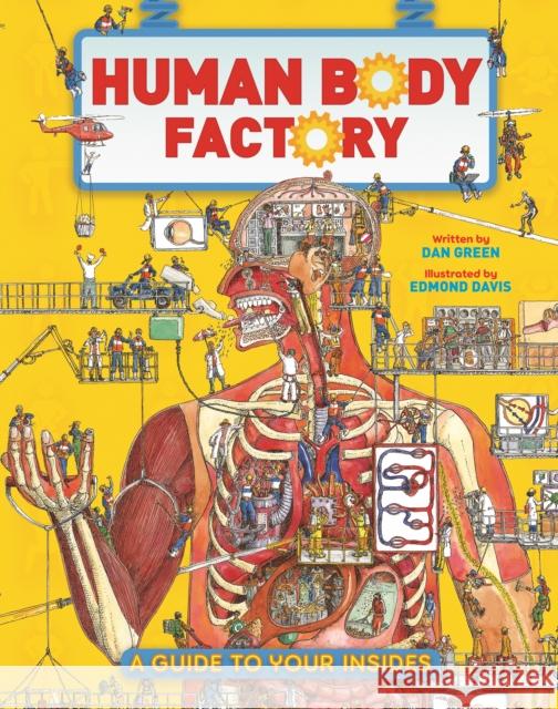 The Human Body Factory: A Guide To Your Insides Dan Green Edmond Davis 9780753478967 Kingfisher