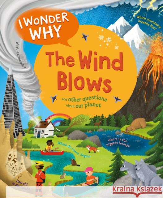 I Wonder Why the Wind Blows: And Other Questions About Our Planet Anita Ganeri 9780753479285 Kingfisher
