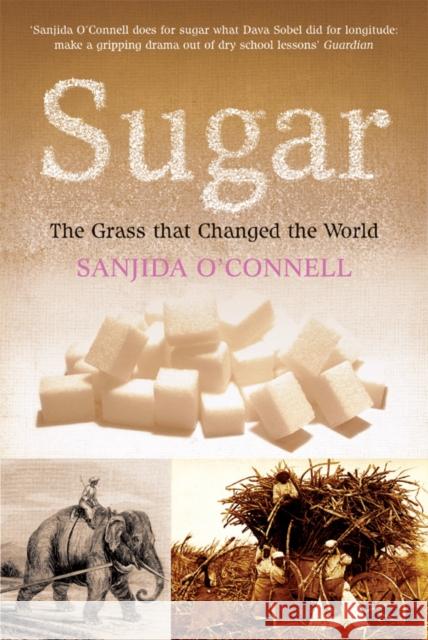 SUGAR Sanjida O'connell 9780753510575 VIRGIN BOOKS