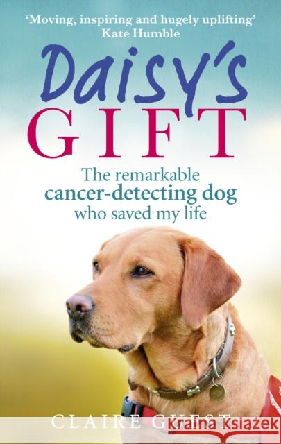 Daisy's Gift: The Remarkable Cancer-Detecting Dog Who Saved My Life Guest, Claire 9780753557426