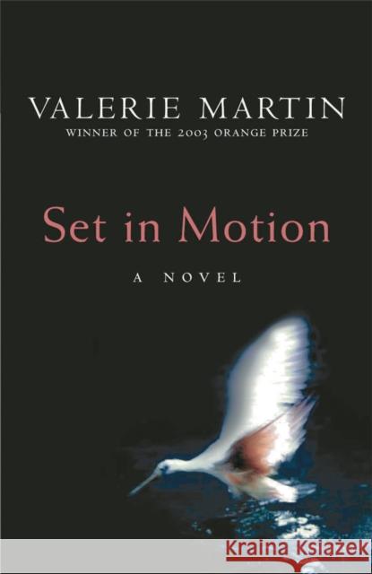 Set In Motion Valerie Martin 9780753818572