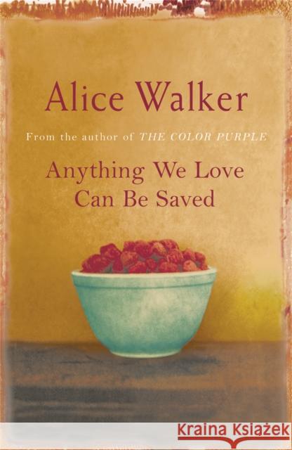 Anything We Love Can Be Saved Alice Walker 9780753819548