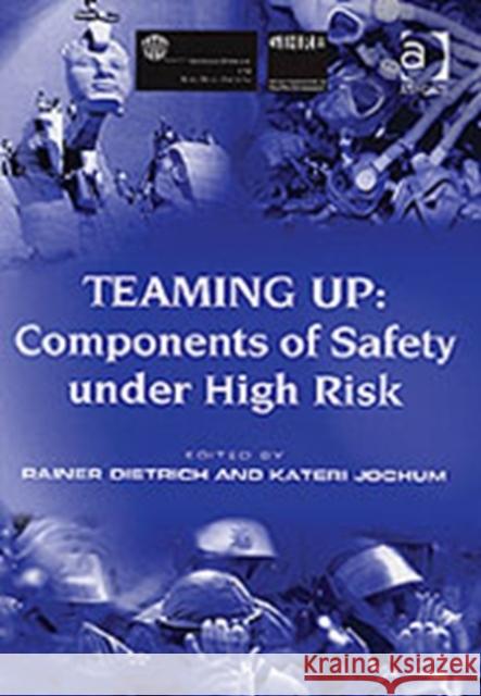 Teaming Up: Components of Safety Under High Risk  9780754634355 Ashgate Publishing Limited