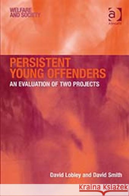 Persistent Young Offenders: An Evaluation of Two Projects Lobley, David 9780754641834 ASHGATE PUBLISHING GROUP
