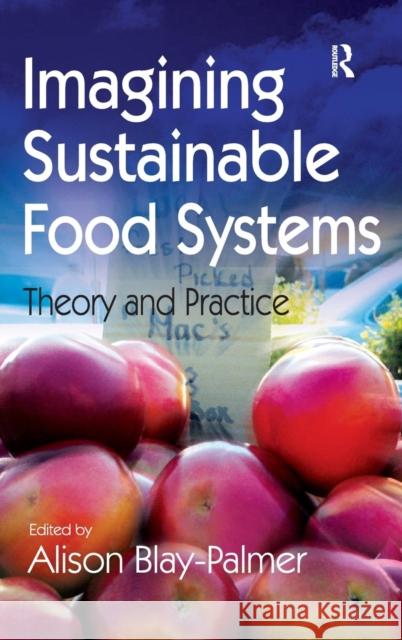 Imagining Sustainable Food Systems: Theory and Practice Blay-Palmer, Alison 9780754678168