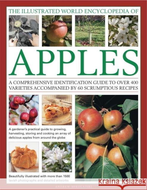 Illustrated World Encyclopedia of Apples Andrew Mikolajski 9780754820666 Anness Publishing