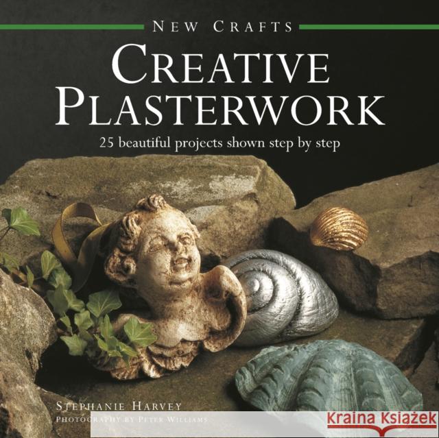 New Crafts: Creative Plasterwork Harvey Stephanie 9780754830061