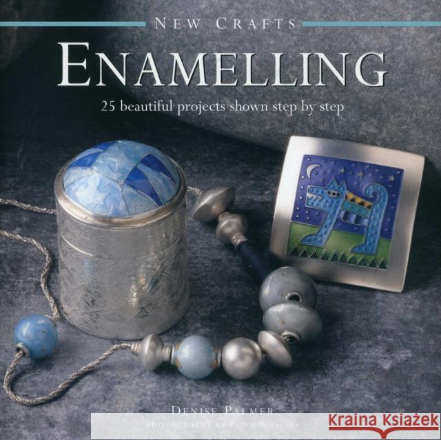 New Crafts: Enamelling Palmer Denise 9780754830078 Anness Publishing