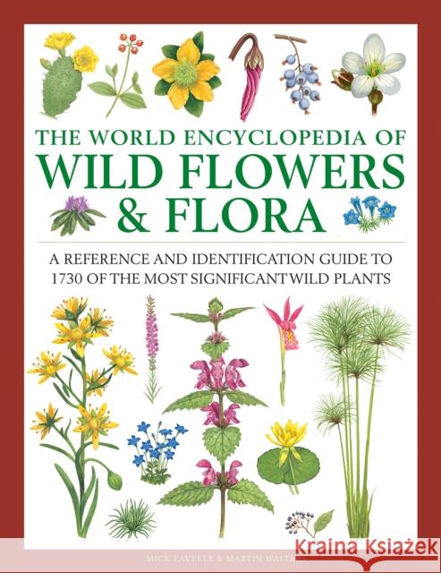 Wild Flowers & Flora, The World Encyclopedia of: A reference and identification guide to 1730 of the world's most significant wild plants Mick Lavelle 9780754833604