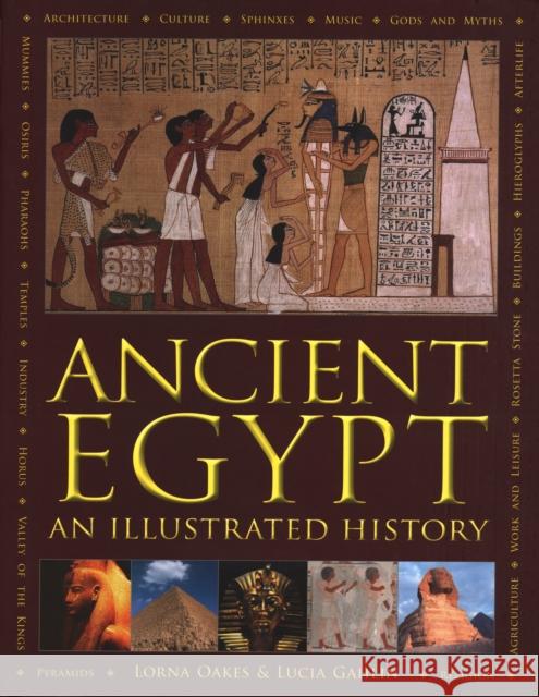 Ancient Egypt: An Illustrated History Lorna Oakes Lucia Gahlin 9780754834458