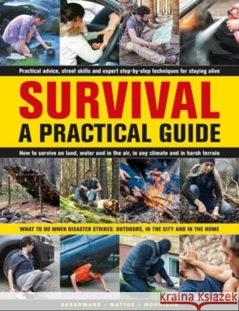 Survival: A Practical Guide: What to do when disaster strikes: outdoors, in the city and in the home Bob Morrison 9780754835691