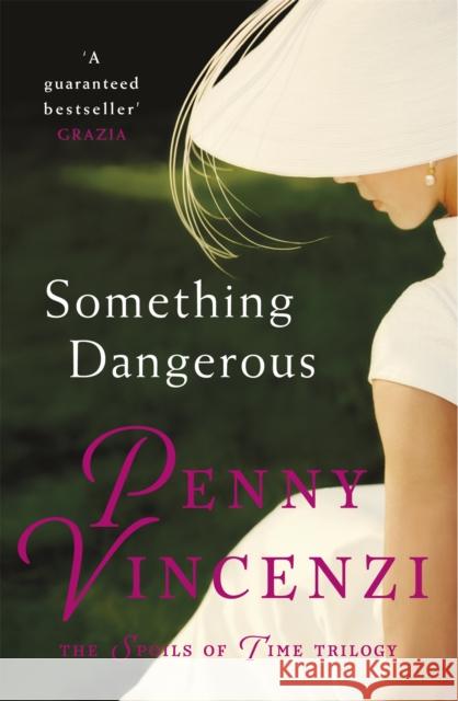 Something Dangerous Penny Vincenzi 9780755332410