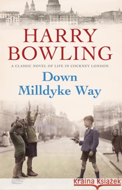 Down Milldyke Way: A touching saga of heartbreak, grit and emotion Harry Bowling 9780755340439