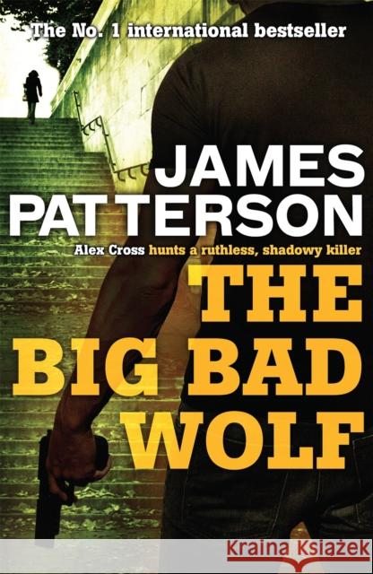 The Big Bad Wolf James Patterson 9780755349371