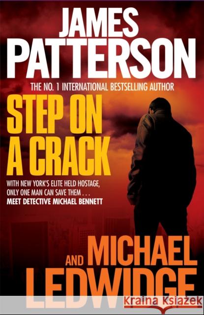 Step on a Crack Michael Ledwidge 9780755349548 Headline Publishing Group