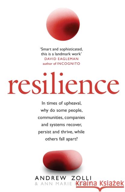 Resilience: Why Things Bounce Back Ann Marie Healy 9780755360369 Headline Publishing Group