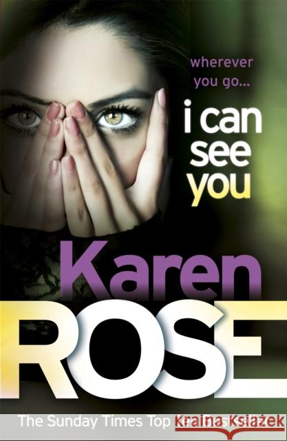 I Can See You (The Minneapolis Series Book 1) Karen Rose 9780755370979 Headline Publishing Group