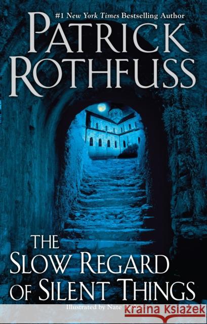 The Slow Regard of Silent Things Patrick Rothfuss 9780756410438 Daw Books