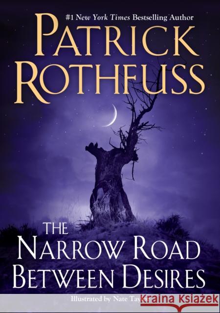The Narrow Road Between Desires Patrick Rothfuss 9780756419226 Daw Books