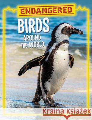 Endangered Birds Around the World Lisa J. Amstutz 9780756578329