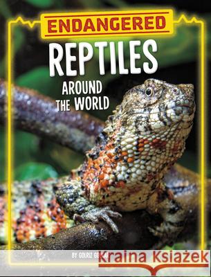 Endangered Reptiles Around the World Golriz Golkar 9780756578343 Pebble Books