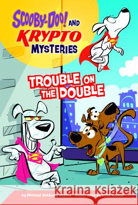 Trouble on the Double Michael Anthony Steele Mike Kunkel 9780756584993 Picture Window Books