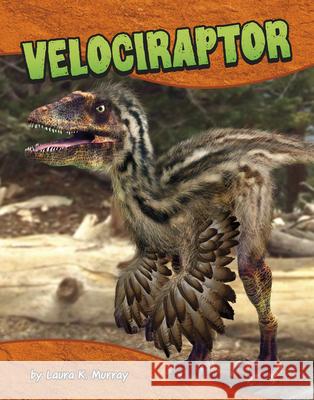 Velociraptor Laura K. Murray 9780756589158 Pebble Books