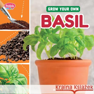 Grow Your Own Basil Lisa J. Amstutz 9780756589486 Pebble Books