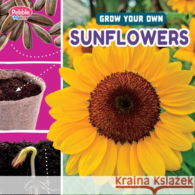 Grow Your Own Sunflowers Lisa J. Amstutz 9780756589493 Pebble Books