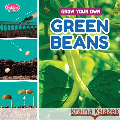 Grow Your Own Green Beans Lisa J. Amstutz 9780756589509 Pebble Books