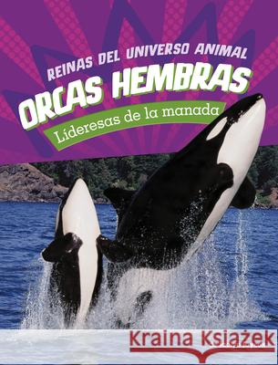 Orcas Hembras: Lideresas de la Manada Jaclyn Jaycox 9780756591816 Pebble Books