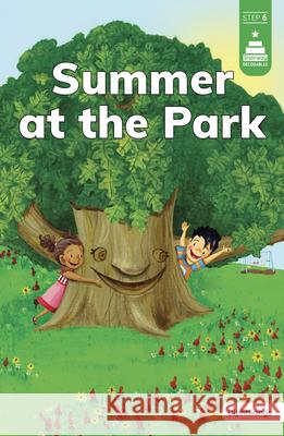 Summer at the Park Leanna Koch Kristen Cowen Corinne Doerrfeld 9780756596170 Picture Window Books