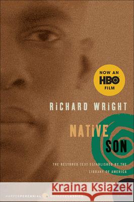 Native Son Richard Wright 9780756964412 Perfection Learning