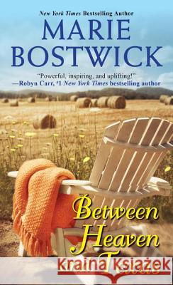 Between Heaven And Texas Marie Bostwick 9780758269294