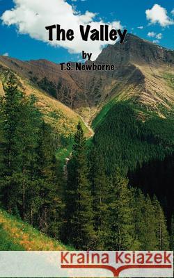 The Valley T. S. Newborne 9780759627284 Authorhouse