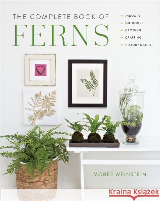 The Complete Book of Ferns: Indoors - Outdoors - Growing - Crafting - History & Lore Mobee Weinstein 9780760374818 Cool Springs Press