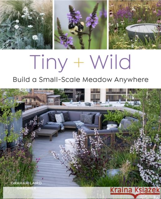 Tiny and Wild: Build a Small-Scale Meadow Anywhere Graham Laird Gardner 9780760376232 Cool Springs Press