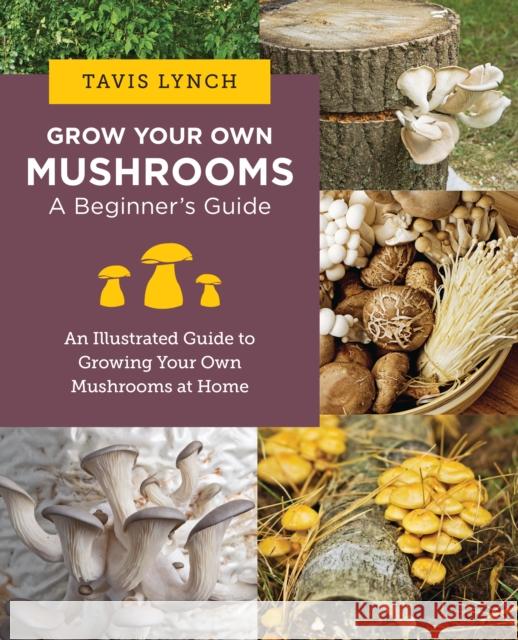 Grow Your Own Mushrooms: A Beginner's Guide: An Illustrated Guide to Cultivating Your Own Mushrooms at Home Tavis Lynch 9780760390788 New Shoe Press