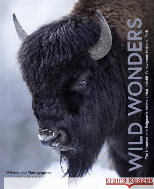 Wild Wonders: The Untamed and Enigmatic Animals that Inhabit Yellowstone National Park Julia Cook 9780760394083 Epic Ink Books