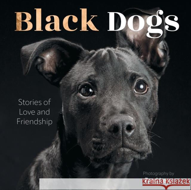 Black Dogs: Stories of Love and Friendship Fred Levy 9780760394502 Epic Ink Books