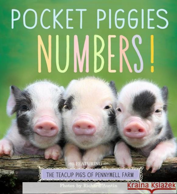 Pocket Piggies Numbers!: Featuring the Teacup Pigs of Pennywell Farm Richard Austin 9780761179795 Workman Publishing