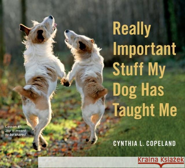 Really Important Stuff My Dog Has Taught Me Copeland, Cynthia L. 9780761181798